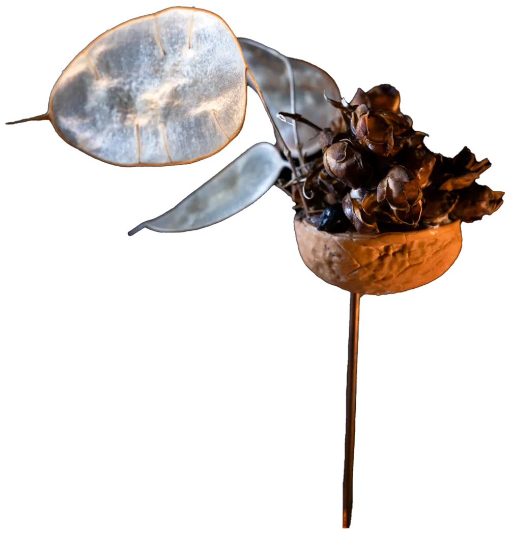 fragiles argos navis