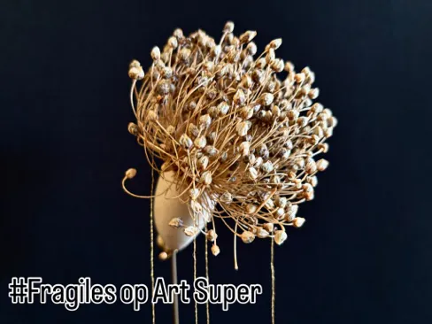 A dried flax seedhead on a black background, shown at Art Super 2025