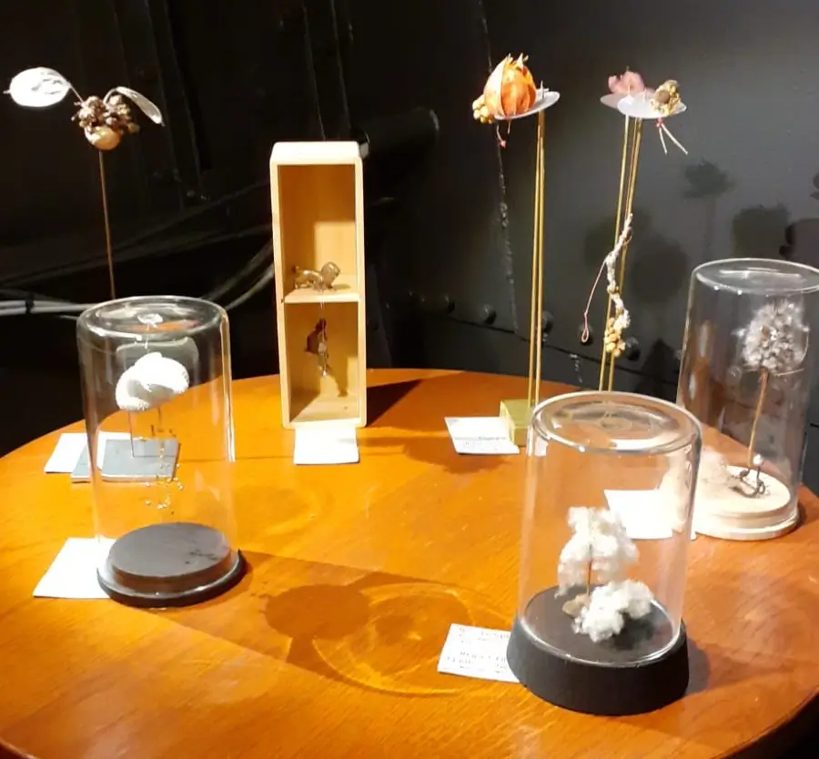 Portrait photo of Nants