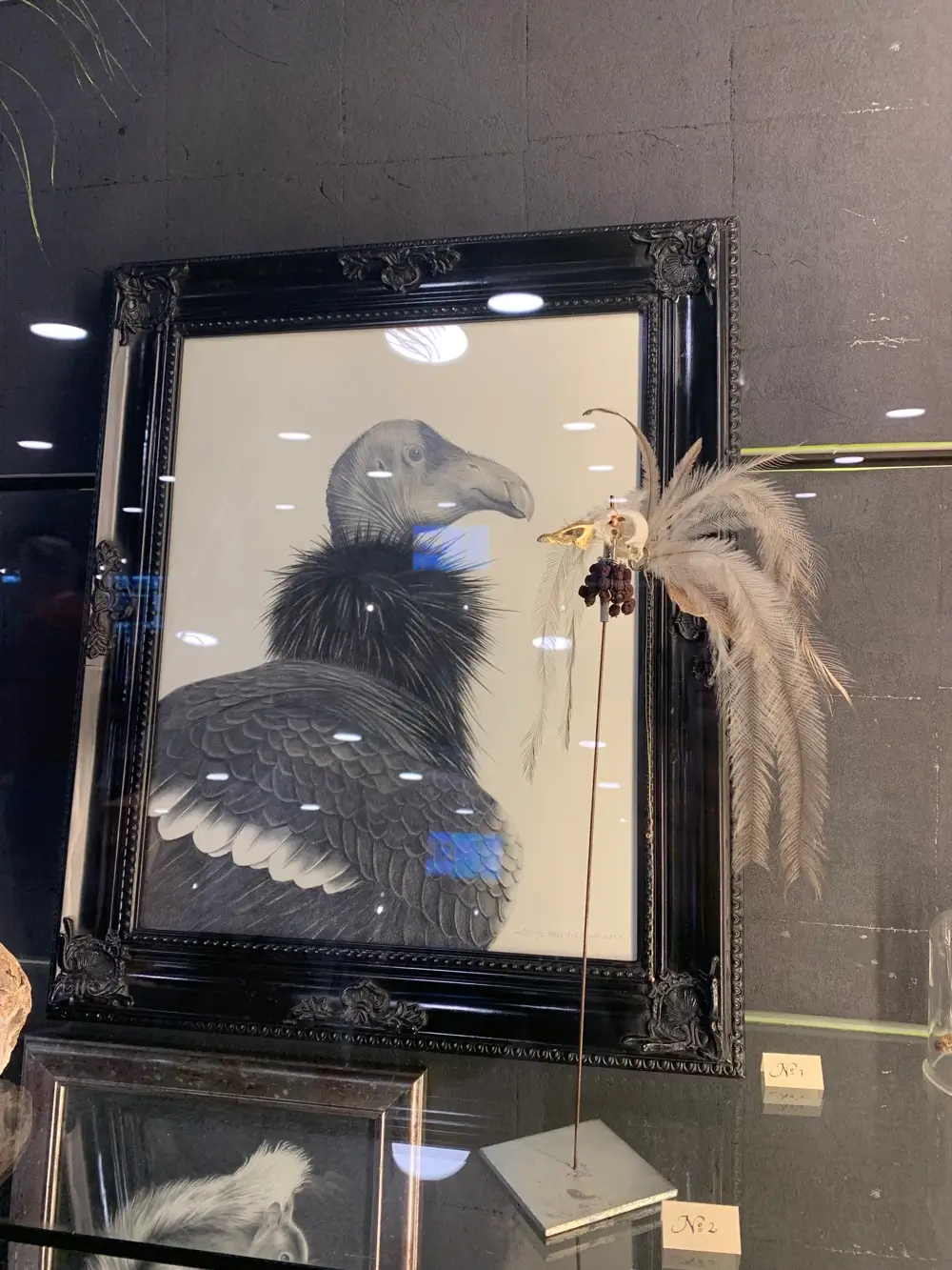 Portrait photo of Nants